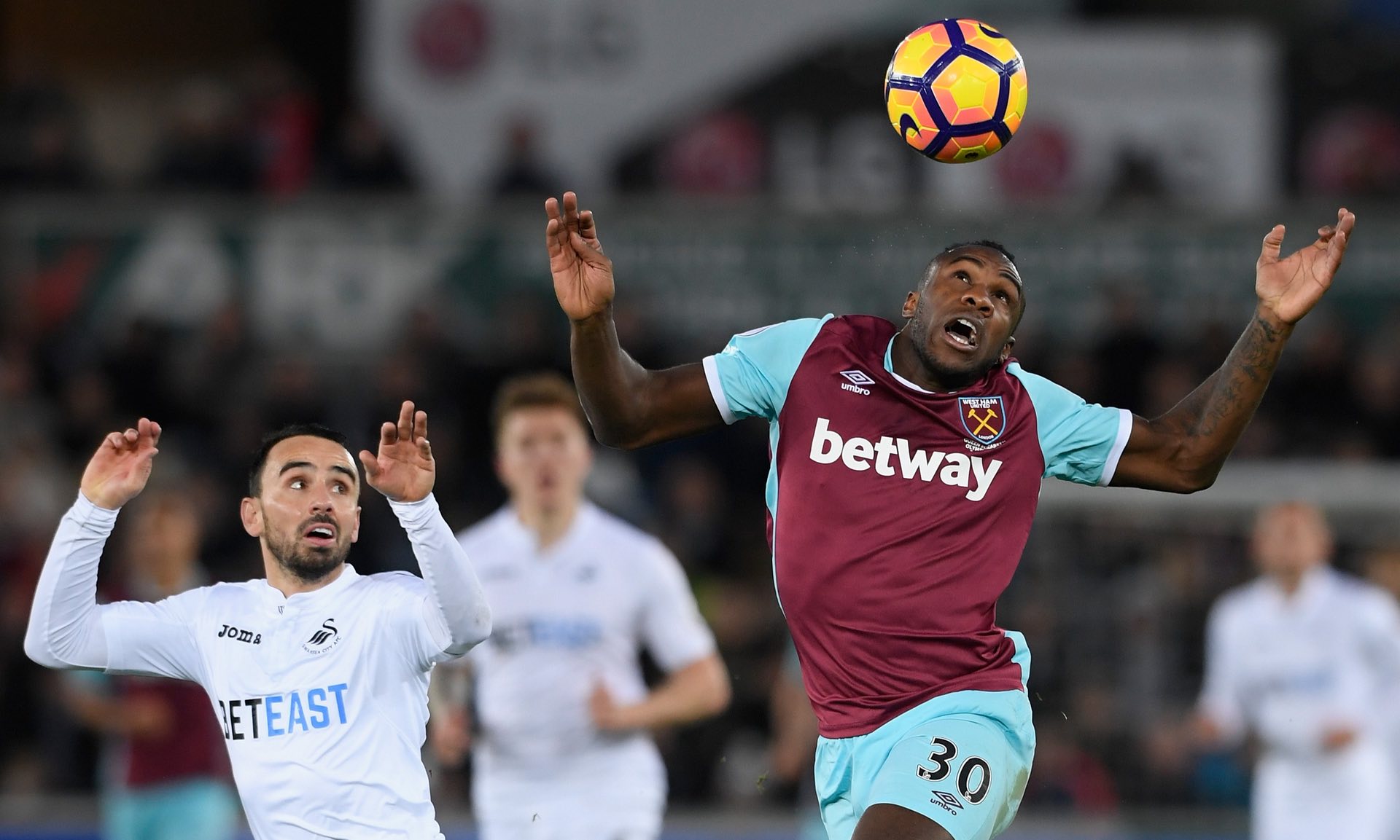 致的装饰增 致的装饰增